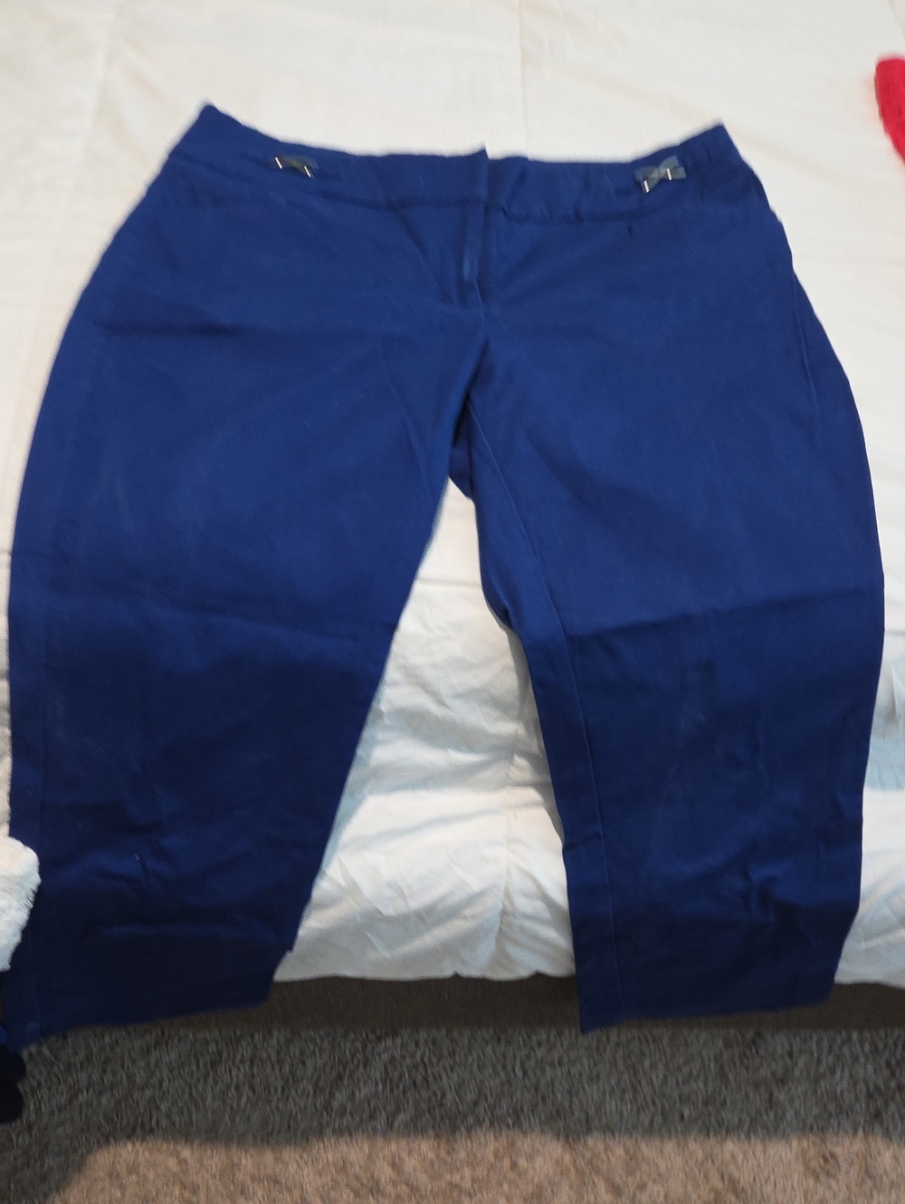 New York & Company Royal Blue Cropped Pants